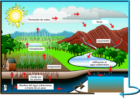 Ciclo Hidrolgico